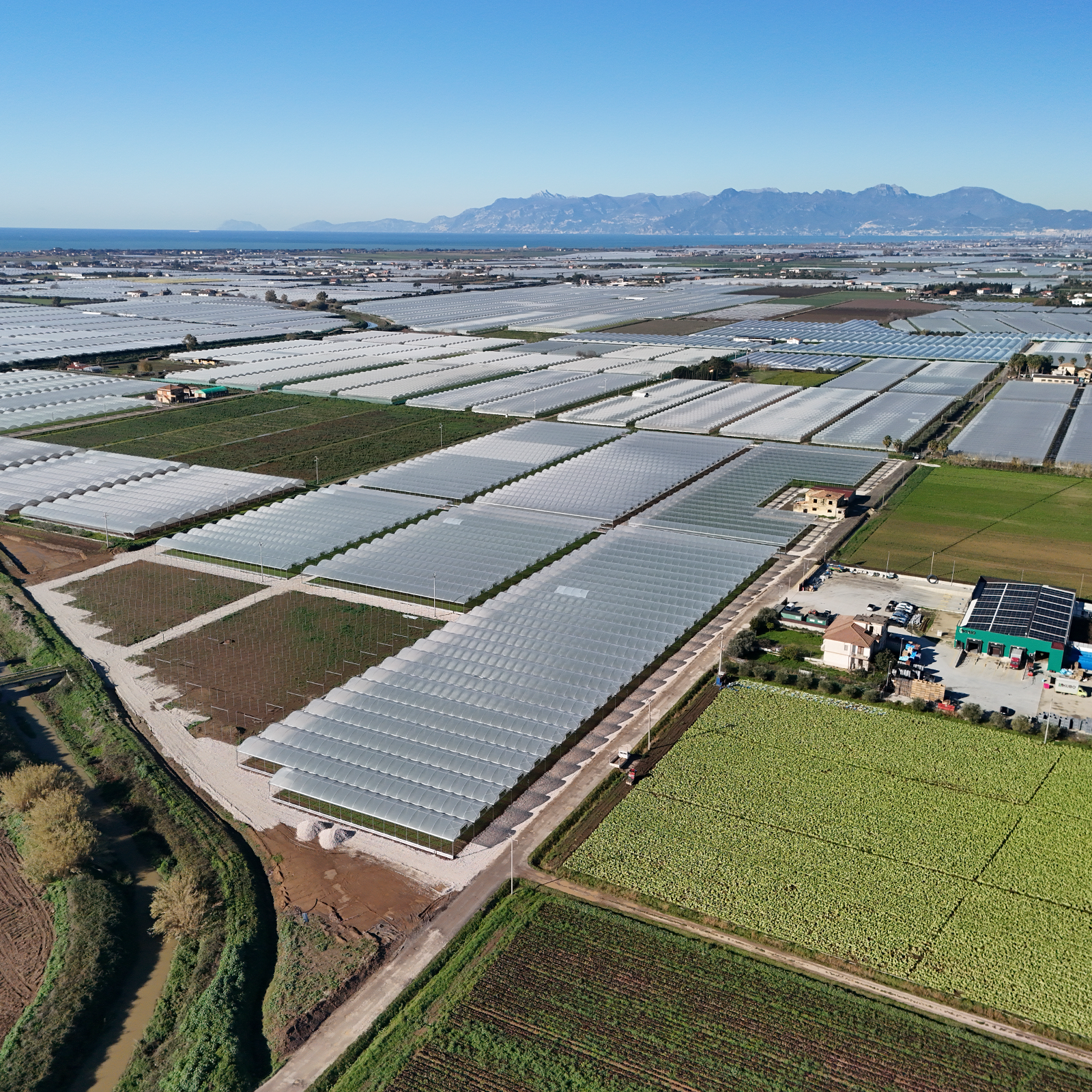 L'azienda KU.BO tra serre e coltivazioni in campo aperto